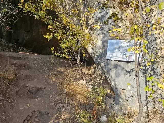 Пещерата с дървото/пещера Горен Билерник/