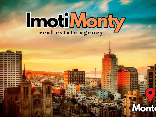 Имоти Монти