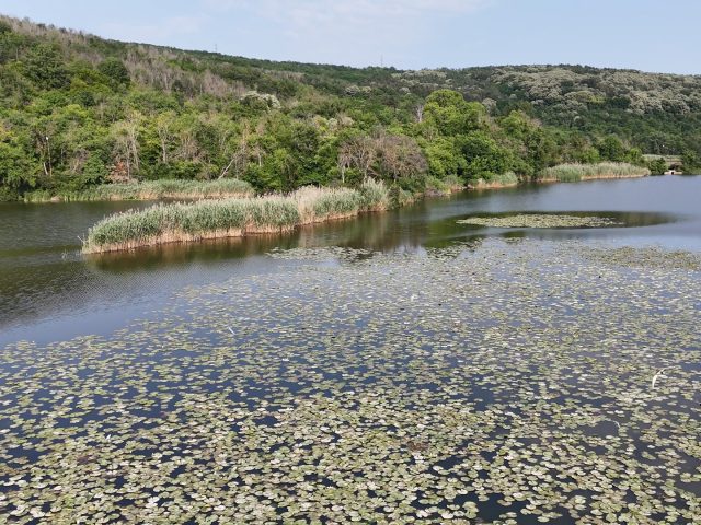 Блатото край с. Малък Преславец