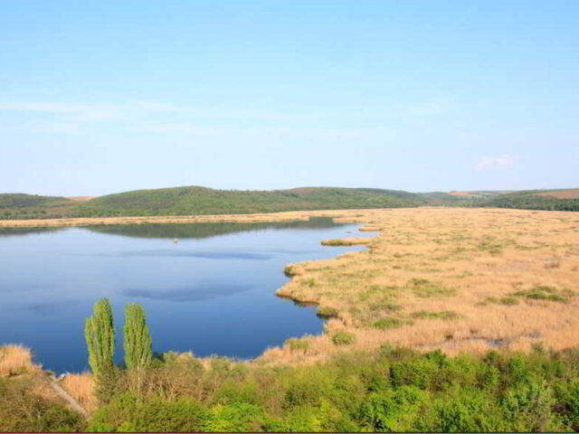 Биосферен парк „Сребърна“